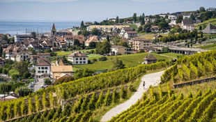 THE 4TH EDITION OF RUN MATE BY CORE-LEAN LAC LÉMAN IS BACK ON SEPTEMBER 24 AND 25