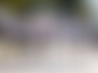 RUN MATE LAKE LÉMAN 2019: A FIRST “PHENOLEMAN” EDITION!