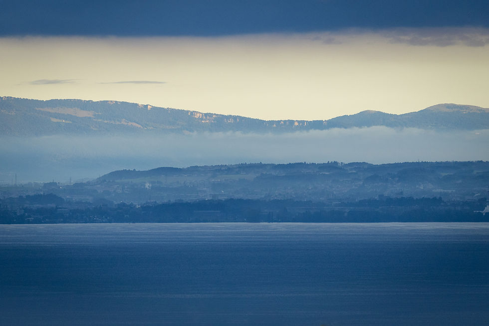 2025 EDITION – ON THE ROAD AGAIN